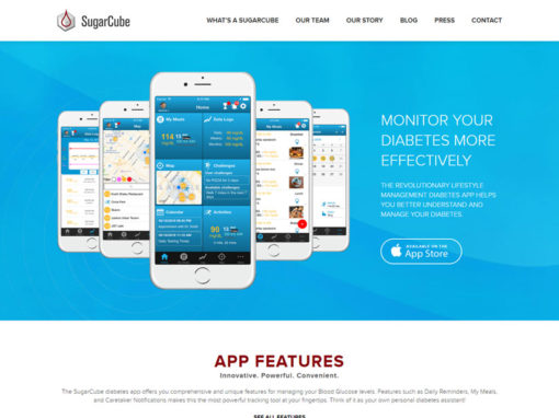 SugarCube Case Study